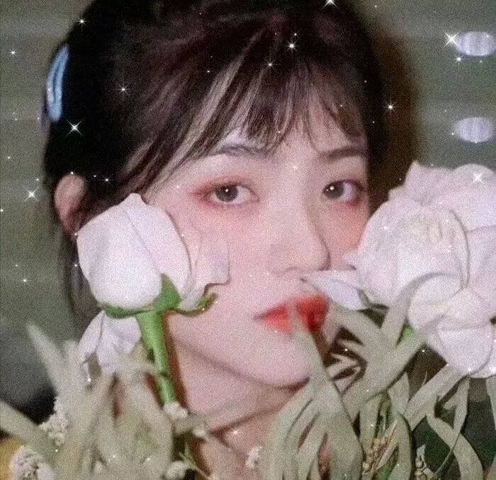 大家的歌